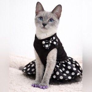 🐾 🐈‍⬛ Cute Polka Dot Pet Dress • Small Dog/Cat • Retro Glam Style